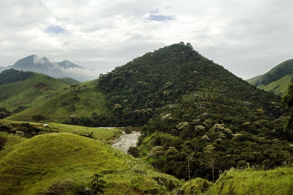 How to Scale Up Investments in Nature